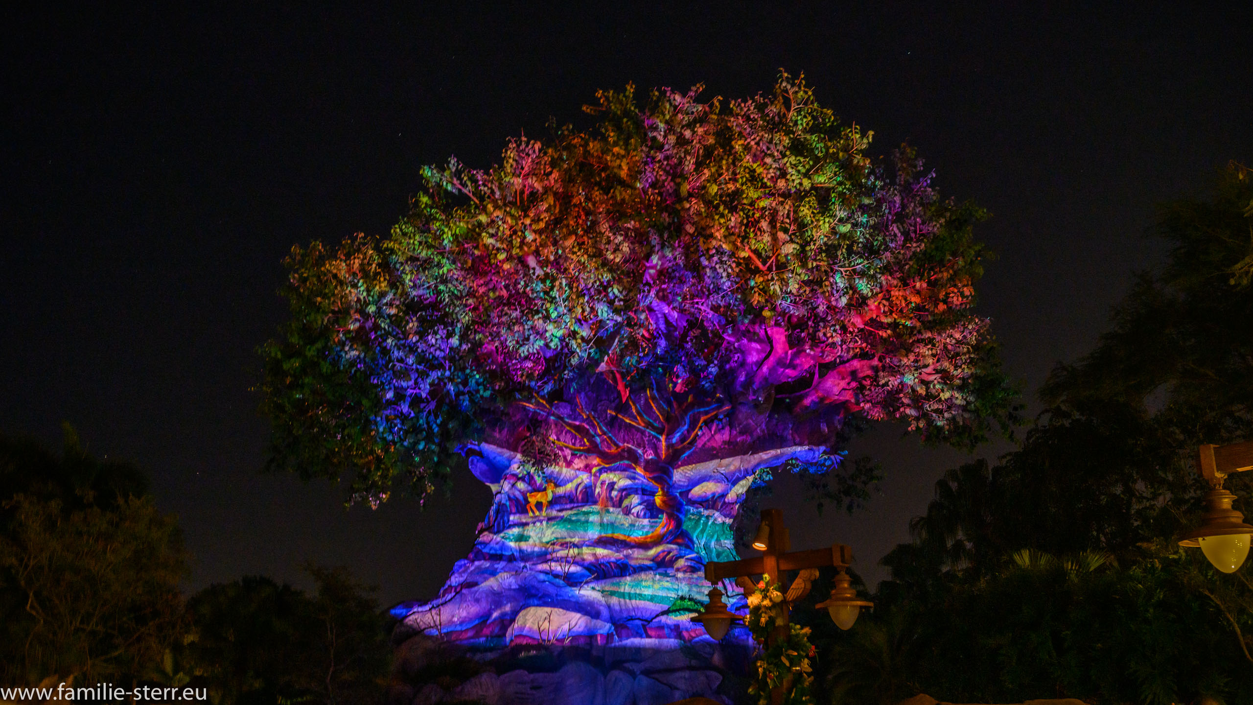 Animal Kingdom